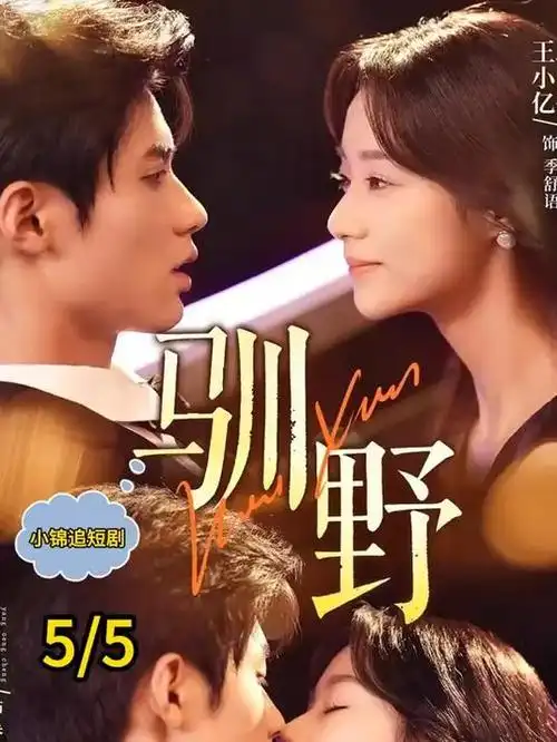 我是大哥大